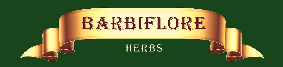 Barbiflore Herbs  Poonai Meesai Herbal for Kidney and Liver Health