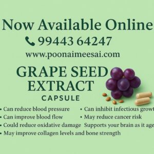 grape seed extract capsule